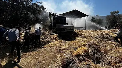 Ödemiş Bademli'de Hayvan Damı Yangını