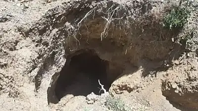 Ödemiş'te Yürekleri Ağıza Getiren Kurtarma: 80 Yaşındaki Adam 10 Metrelik Kuyudan Canlı Çıkarıldı