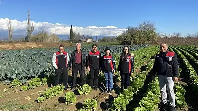 Tire'de kışlık sebze üretimi sahada incelendi