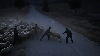 Tire'de Koyun Tartışması Kanlı Bitti, 2 Kişi Yaralandı