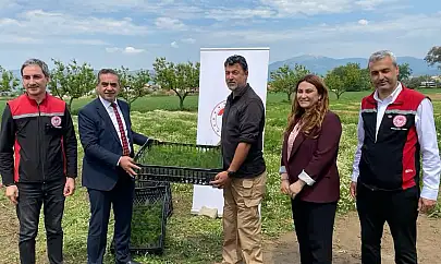Ödemiş ve Tire'de Üreticiye 17 Bin Kuşkonmaz Fidesi Desteği