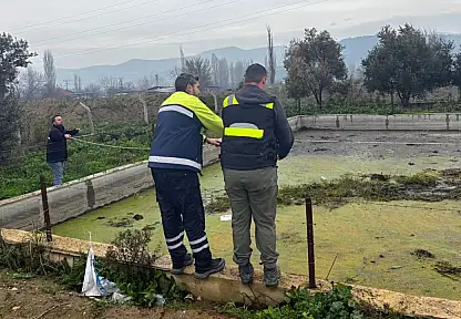 HAVUZDA MAHSUR KALAN TİLKİYİ TİRE BELEDİYESİ EKİPLERİ KURTARDI