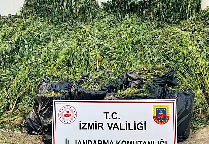 İzmir'de Jandarma'dan Uyuşturucu Operasyonu: 87 Şüpheli Yakalandı