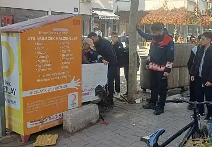 ÖDEMİŞ'TE KIZILAY BAĞIŞ KUTUSUNA SIKIŞAN KEDİ KURTARILDI