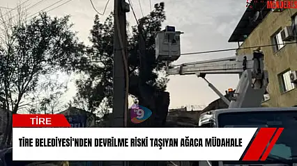Tire Belediyesi'nden devrilme riski taşıyan ağaca müdahale