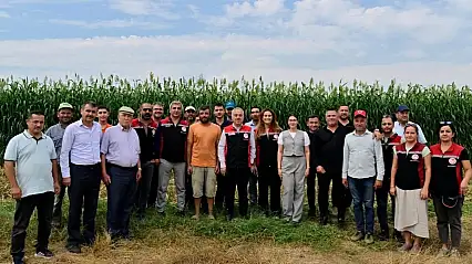 Tire'de Sorgum Hasadı Gerçekleşti