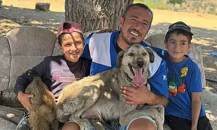 Alevlerin Arasından Umuda: Anne Köpek ve Yavrusu Kurtarıldı