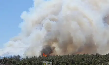 Çanakkale-İzmir Yolunda Korkutan Yangın! Alevler Güzelyalı ve Dardanos'u Tehdit Ediyor