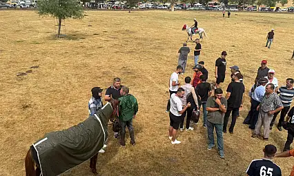 Denizli Kızılca Rahvan Yarışları'na Yağmur Engeli: Finaller İptal, Ödüller Paylaştırıldı
