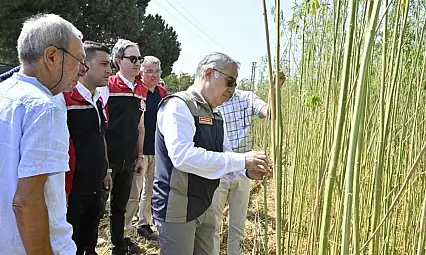 Helvacı Mahallesi'nde İlk Defa İzinli Kenevir Hasadı Yapıldı