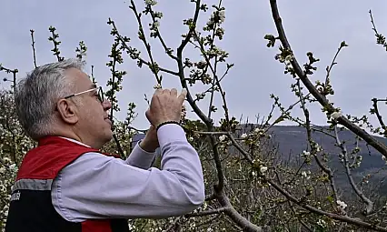 İl Tarım Müdürü Mustafa Şahin, Bayındır'da Genç Çiftçiyi Ziyaret Etti