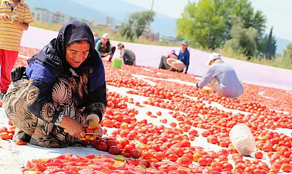 Kuru Domates Dünya İkinciliğinde Torbalı Etkisi