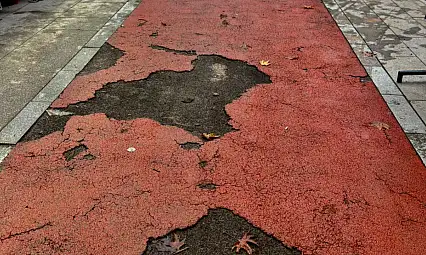 ÖDEMİŞ'E BU GÖRÜNTÜ YAKIŞMIYOR