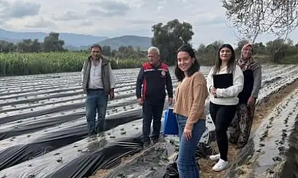 Tire'de Organik Tarım Sahalarında Üretici Ziyaretleri Gerçekleştirildi