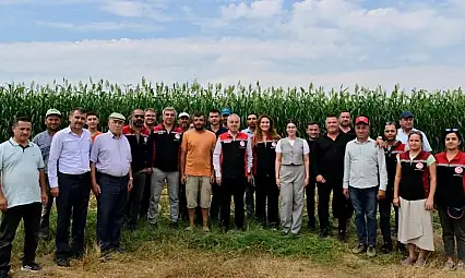 Tire'de Sorgum Hasadı Gerçekleşti