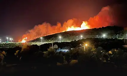 Urla'daki Orman Yangını Kontrol Altına Alındı