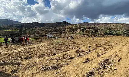 Üzümlü Mahallesi'nde Yangın Sonrası Fidan Dikimiyle Doğa Yeniden Hayat Buluyor