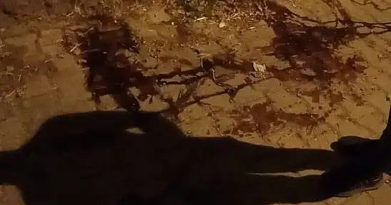 Ödemiş'te Silahlı Saldırı: Üç Kardeş Hayatını Kaybetti