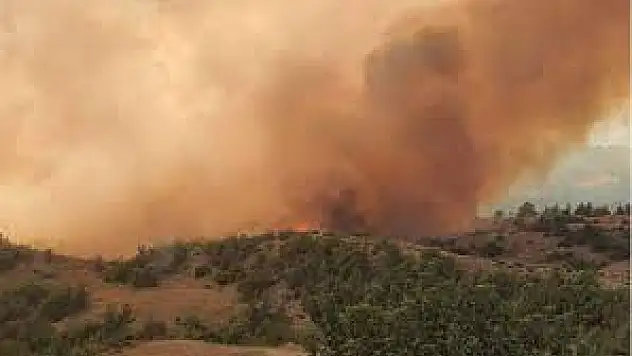 Adana’da çıkan yangın kontrol altında