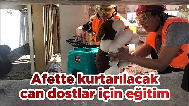 Afette kurtarılacak can dostlar için eğitim