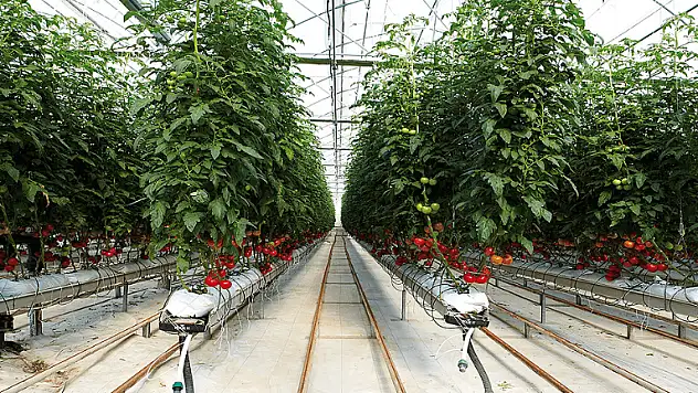 Agrobay işçilerini eylem alanına taşıyan servis şoförüne para ve trafikten men cezası