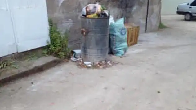 Bademli Mahallesi'nde Çöpler Toplanmıyor!