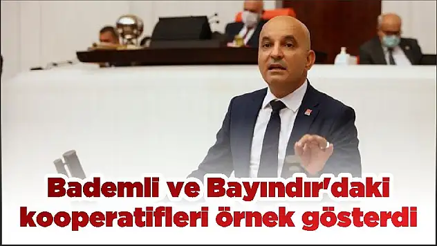 Bademli ve Bayındır'daki kooperatifleri örnek gösterdi