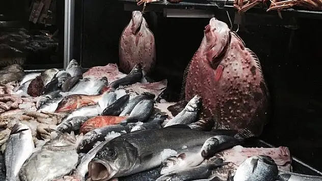 Balık sezonu açıldı! Peki yiyebilecek miyiz?