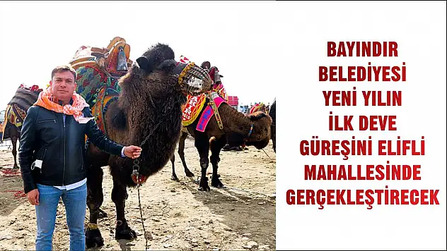 BAYINDIR BELEDİYESİ YENİ YILIN İLK DEVE GÜREŞİNİ ELİFLİ MAHALLESİNDE GERÇEKLEŞTİRECEK