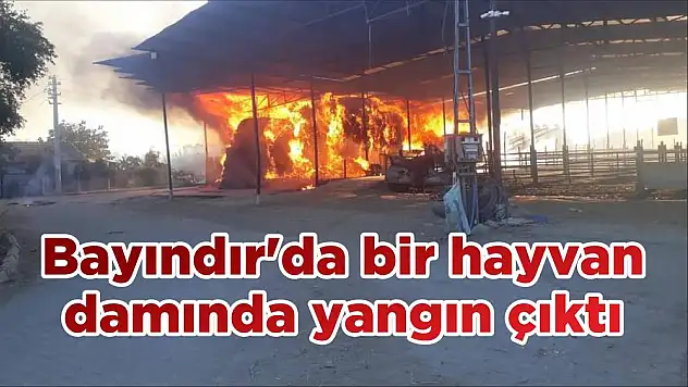 Bayındır'da bir hayvan damında yangın çıktı