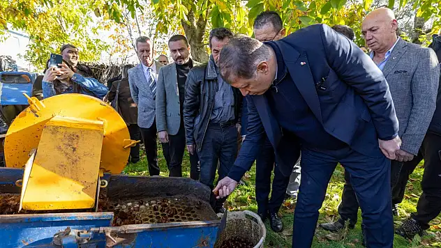 Beydağ'da Kestane Üreticilerine Büyük Destek: Hastalıklara Karşı Dayanıklı Ağaçlar Toprakla Buluşuyor
