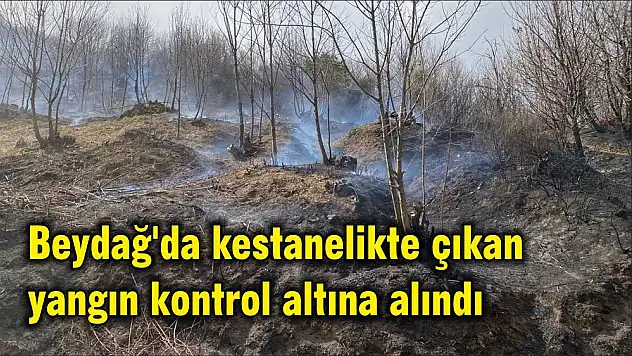Beydağ’da kestanelikte çıkan yangın kontrol altına alındı