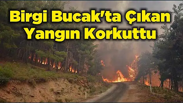 Birgi Bucak'ta Çıkan Yangın Korkuttu