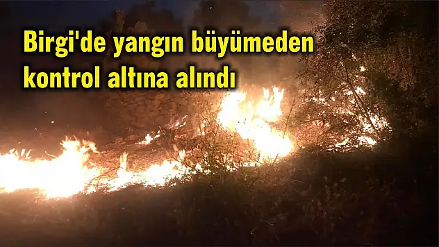 Birgi'de yangın büyümeden kontrol altına alındı