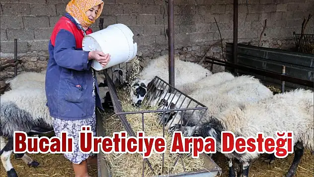 Bucalı Üreticiye Arpa Desteği