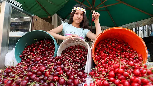 Buca'nın Kiraz Festivali'ne geri sayım başladı