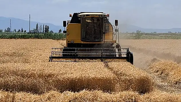 Buğday ve arpa fiyatları güncellendi işte yeni liste