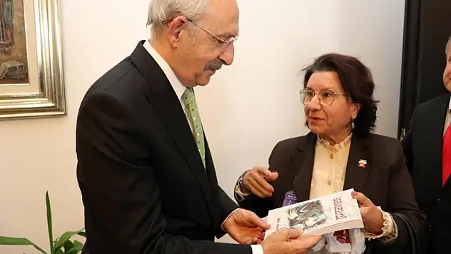 CHP ADAY ADAYI MUALLA AKGÜN SAHALARA ÇIKTI