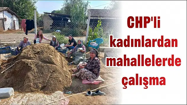 CHP'li kadınlardan mahallelerde çalışma