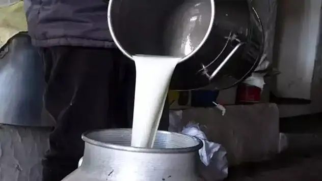 ÇİĞ SÜTTE YENİ FİYAT BELLİ OLDU: ÜRETİCİYE 22,22 LİRA