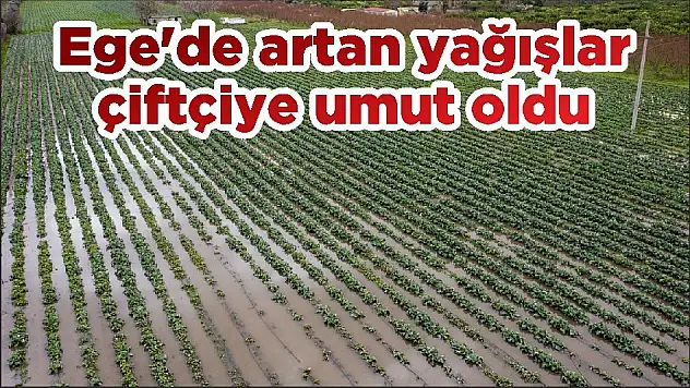 Ege’de artan yağışlar çiftçiye umut oldu