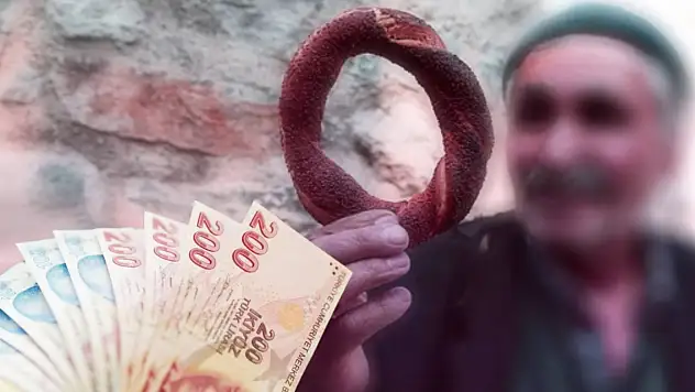 Emekliye Zam, TSK'ya Düzenleme, Turizme Esneklik! Torba Yasa Meclis'ten Geçti