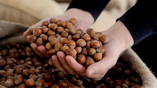 Fındık bunu haketmedi