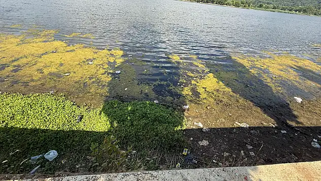 Gölcük Gölü'nde Çevre Kirliliği Alarmı