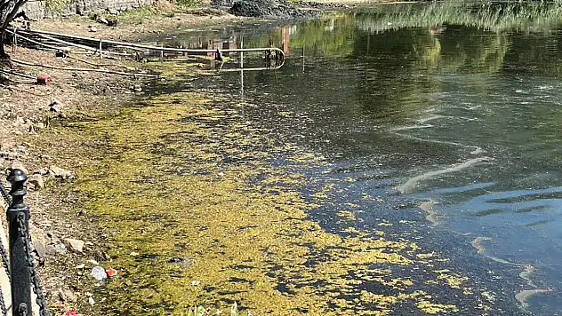 GÖLCÜK GÖLÜNDE KİRLİLİK TABLOSU DERİNLEŞİYOR