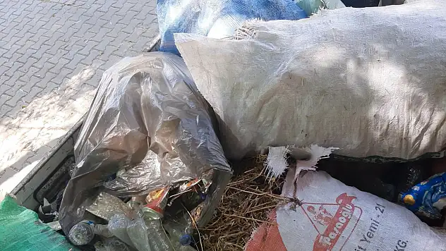 Gölcük-Ovacık Yolunda Temizlik Yapıldı: TV9 İhbarı Sonuç Verdi