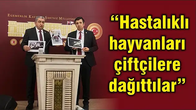 'Hastalıklı hayvanları çiftçilere dağıttılar'
