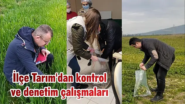 İlçe Tarım'dan kontrol ve denetim çalışmaları