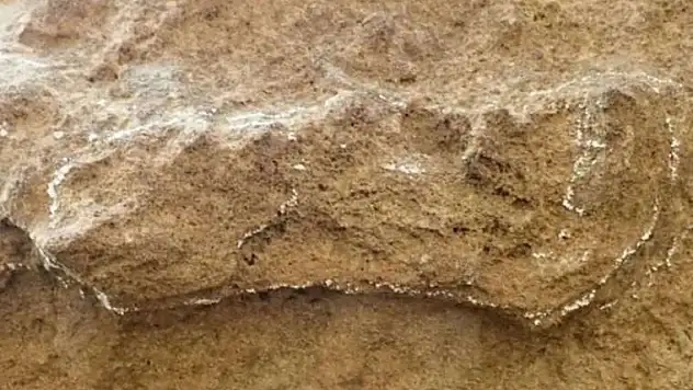İnsanlık tarihini değiştirecek ayak izi keşfedildi