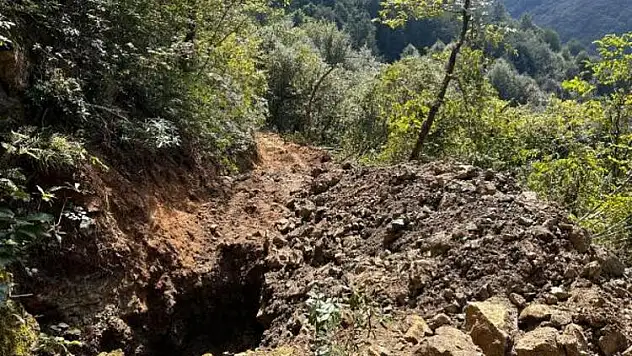 İş makinesi ile ormanı delik deşik ettiler